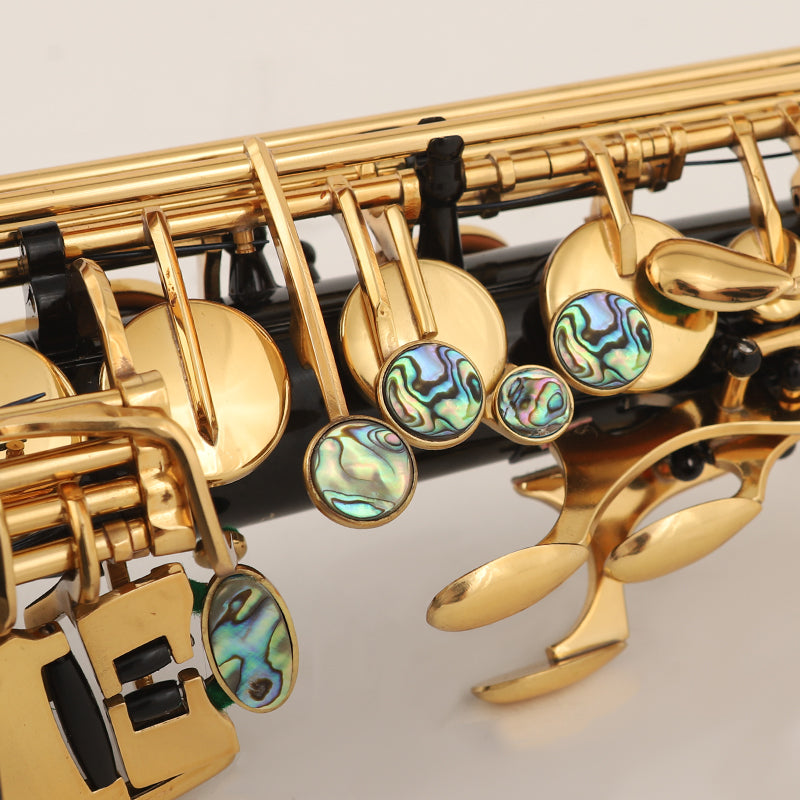 Student Alto Saxophone - Black Gold Lacquer