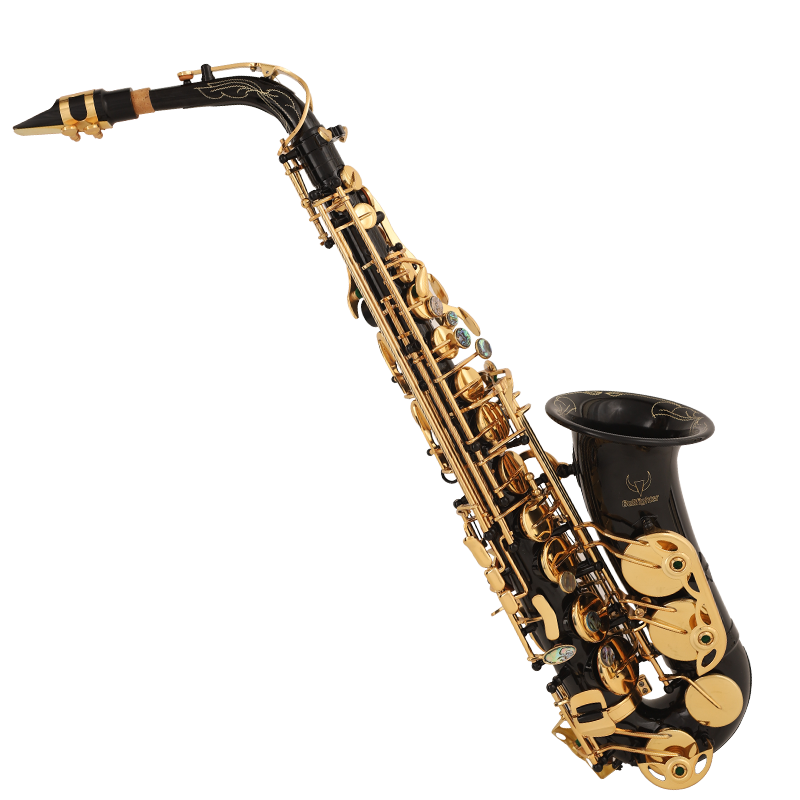 Student Alto Saxophone - Black Gold Lacquer