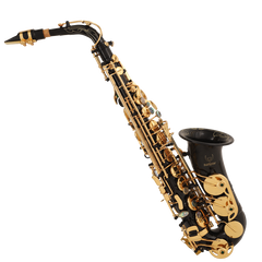 Student Alto Saxophone - Black Gold Lacquer